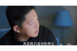 尼木尼木的要账公司在催收过程中的策略和技巧有哪些？